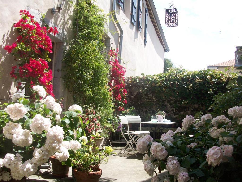 Chambres D'Hotes Aroha Sorde-lʼAbbaye Zewnętrze zdjęcie